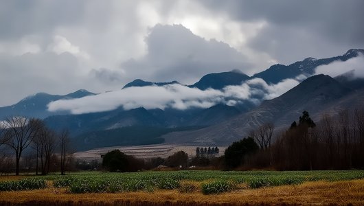 今日天气